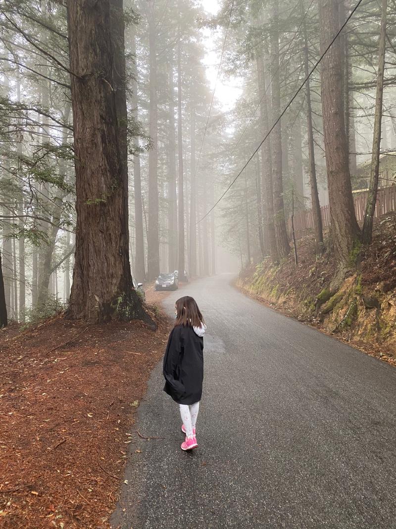 Hiking in the foggy woods.