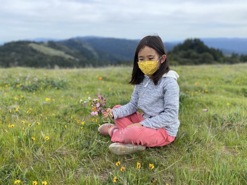 Wildflowers on the Russian Ridge are so beautiful!